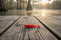 Blood Minnow