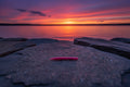 Sunset Worm